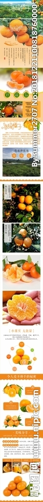 柑橘微信 长图广告