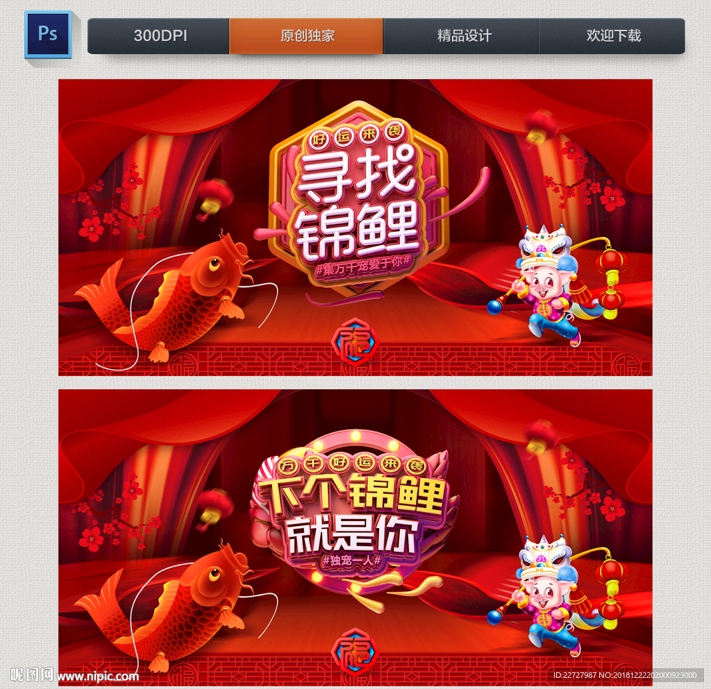 锦鲤