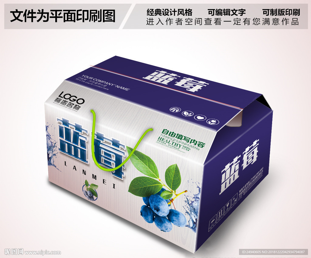 蓝莓包装设计