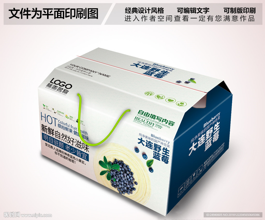 野生蓝莓包装设计PSD