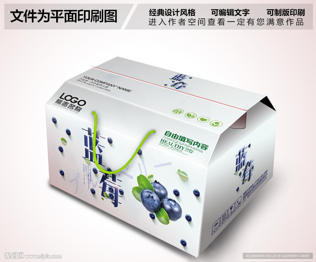 蓝莓包装设计