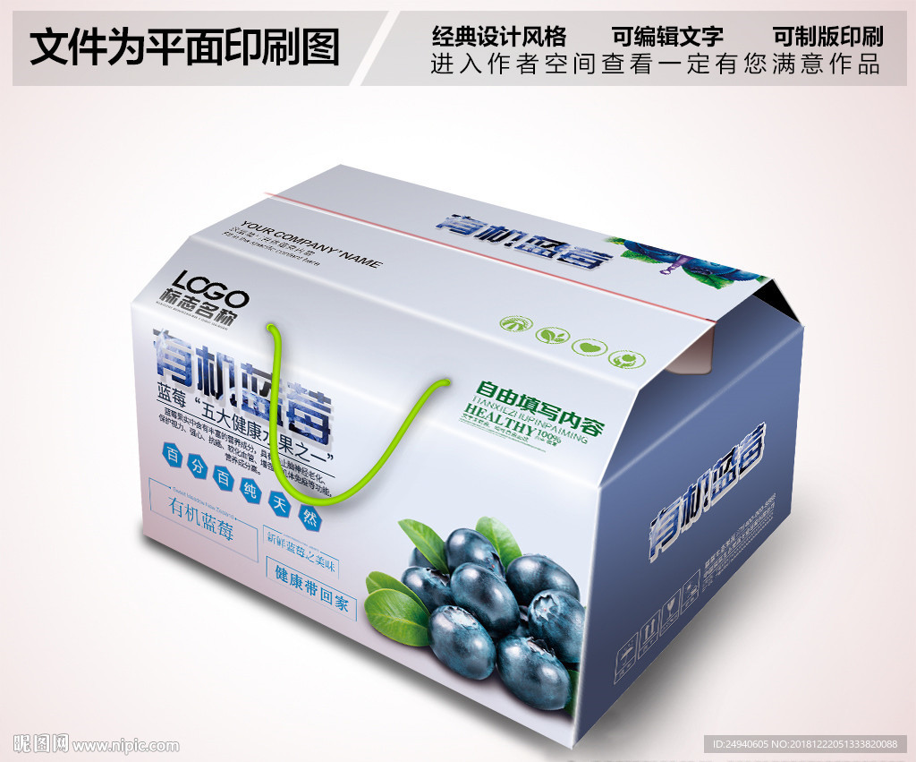 蓝莓包装设计