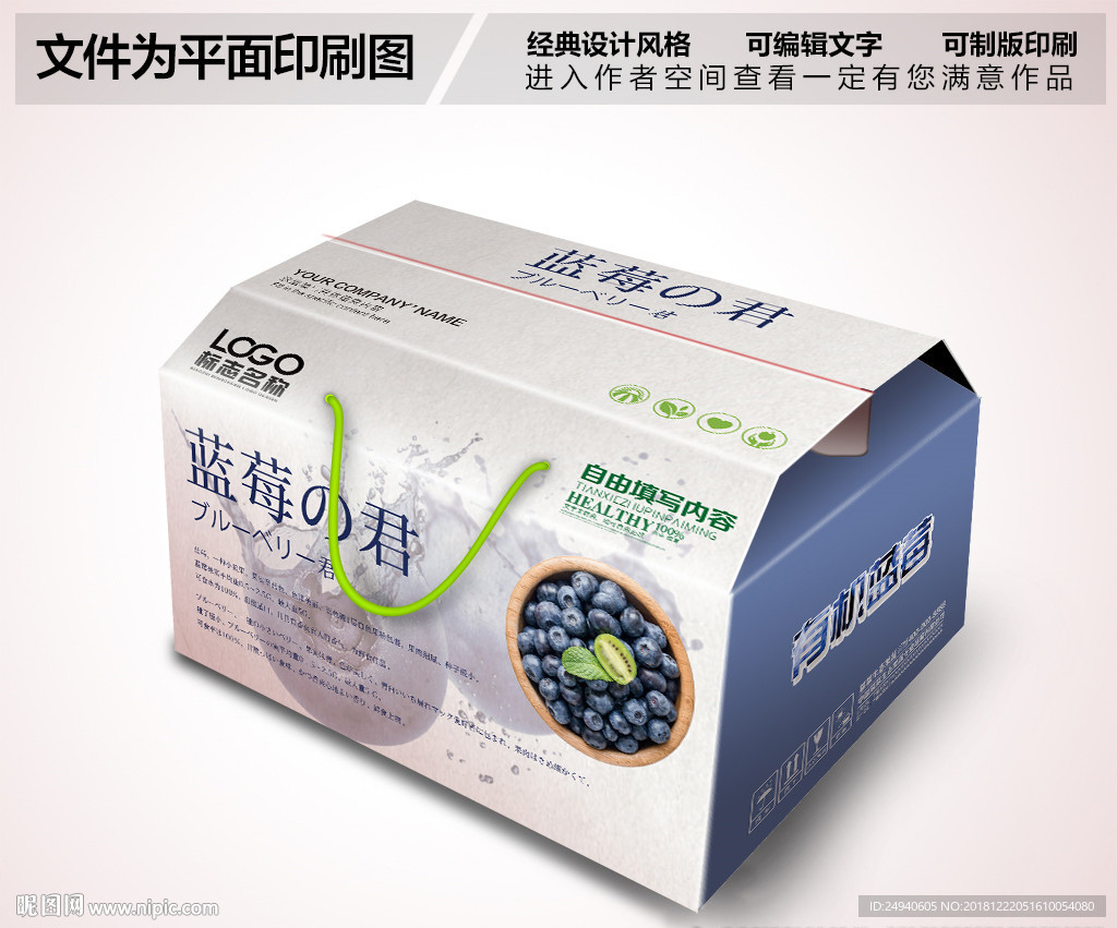 蓝莓包装设计