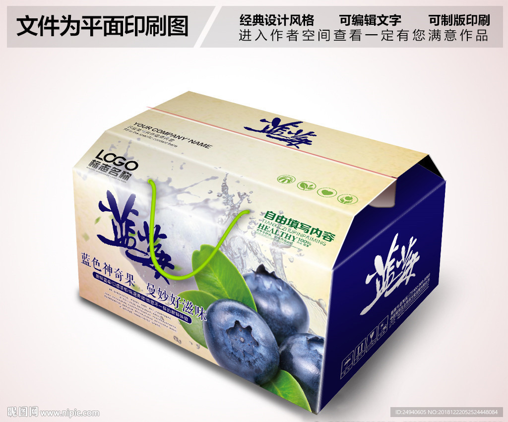 蓝莓包装设计