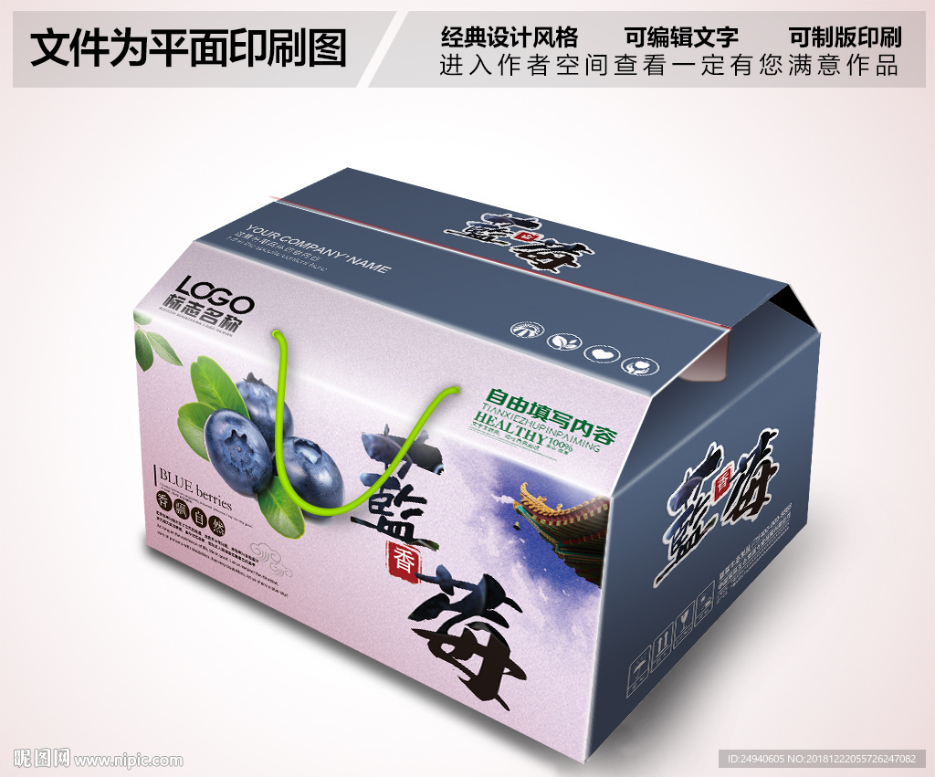 蓝莓包装PSD