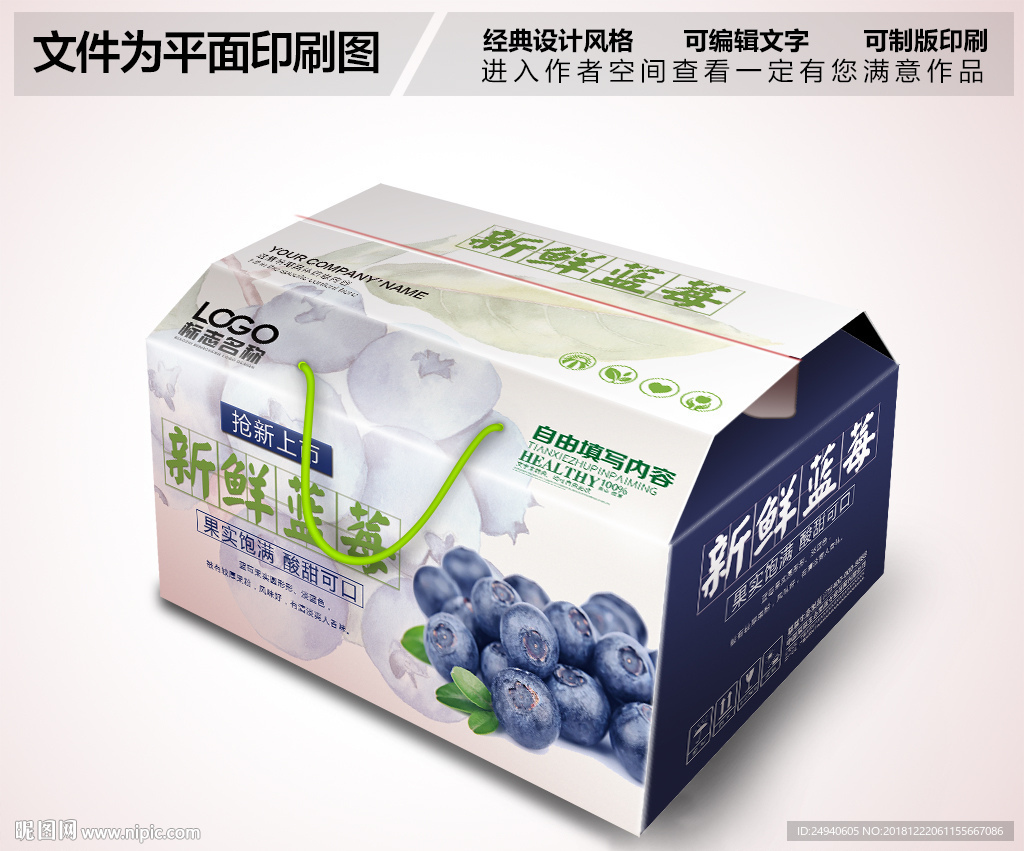蓝莓包装PSD
