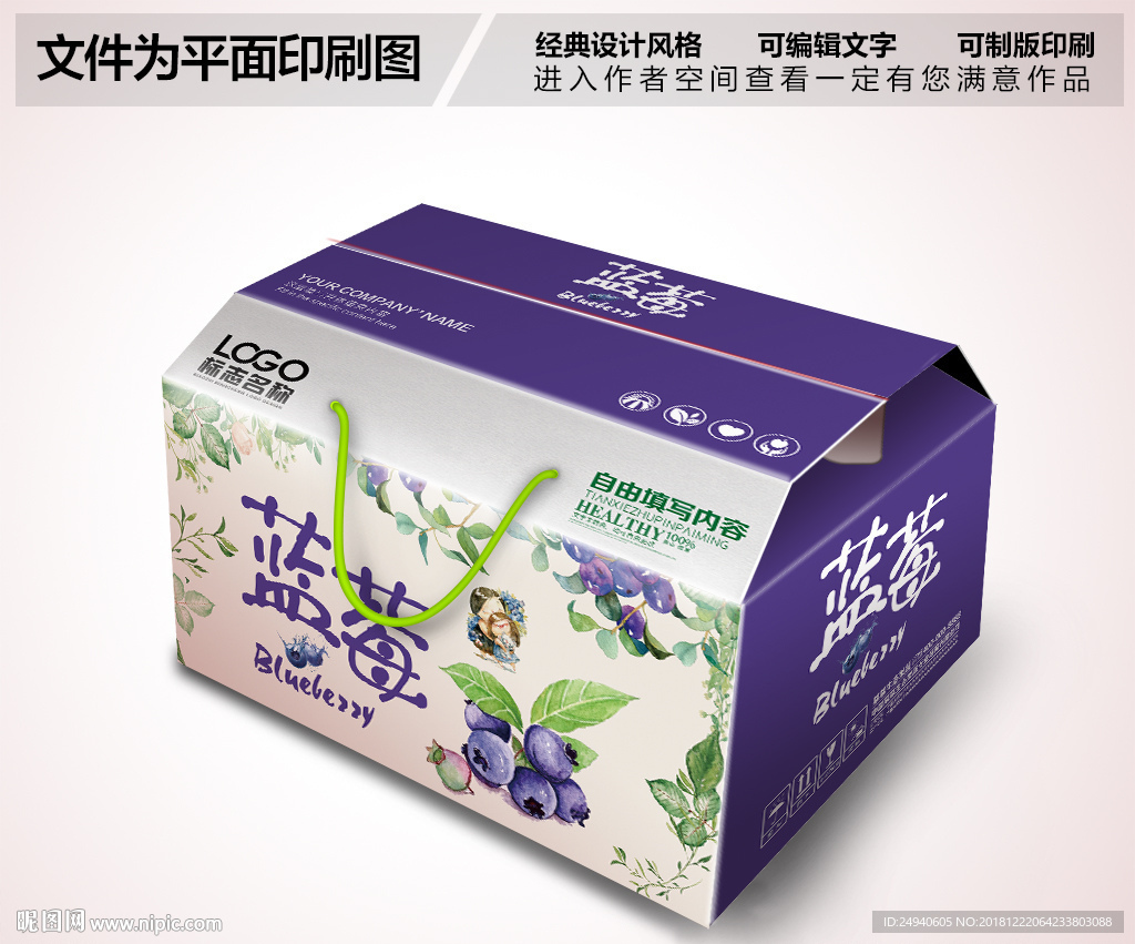蓝莓水果包装PSD