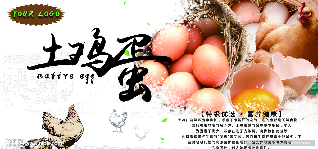 土鸡蛋生产