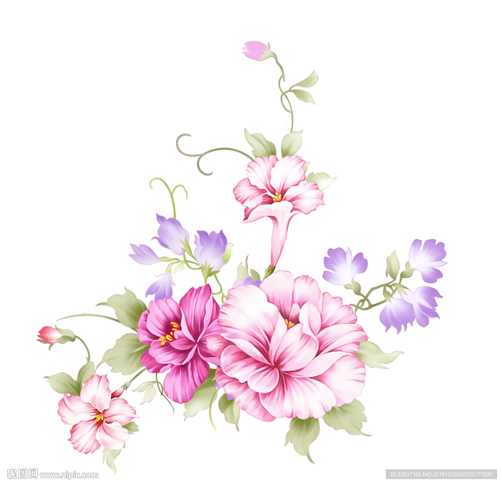 手绘花