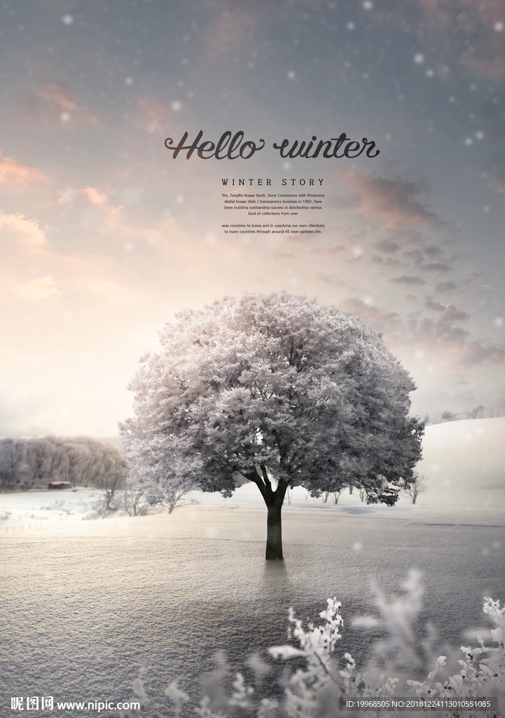雪景 雪后 飘雪 雪后树林