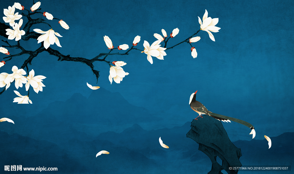 玉兰花鸟