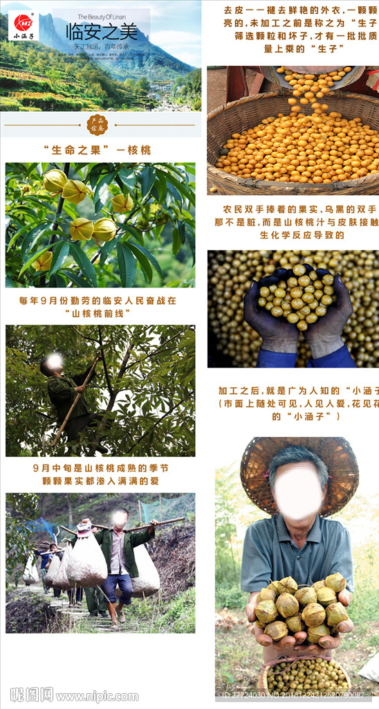 核桃详情页