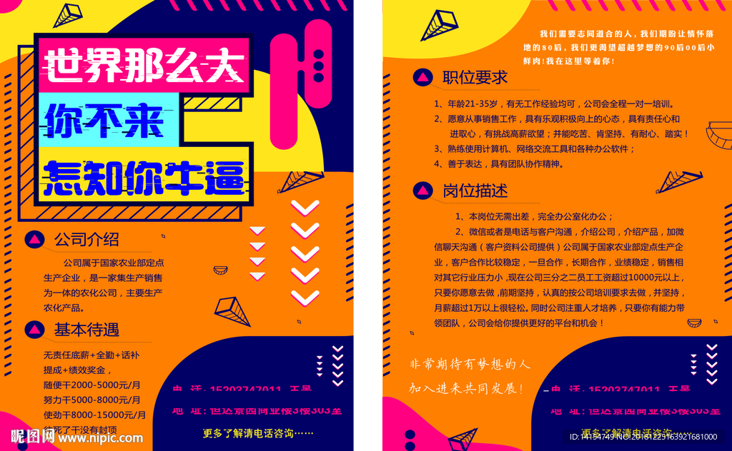 招聘彩页