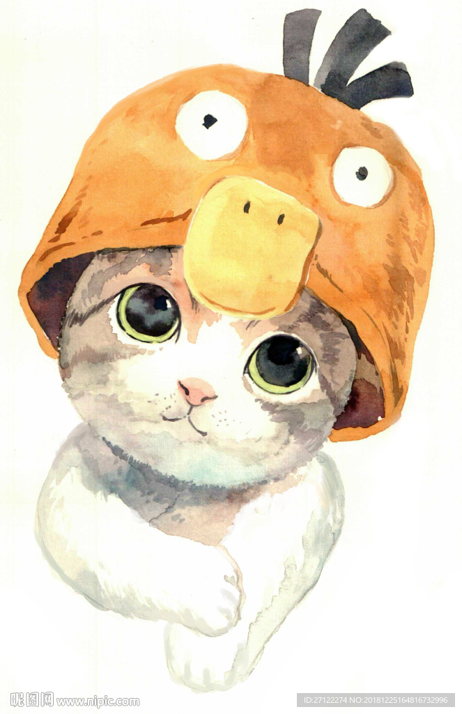 猫猫