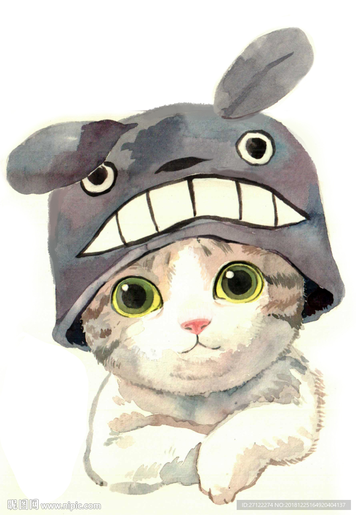 猫猫