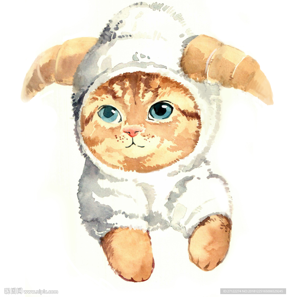 猫猫