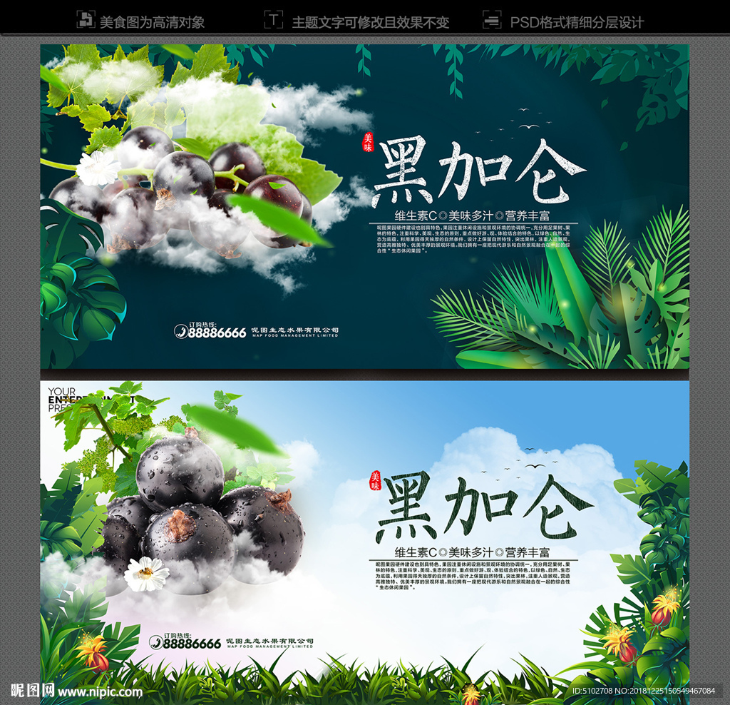 黑加仑
