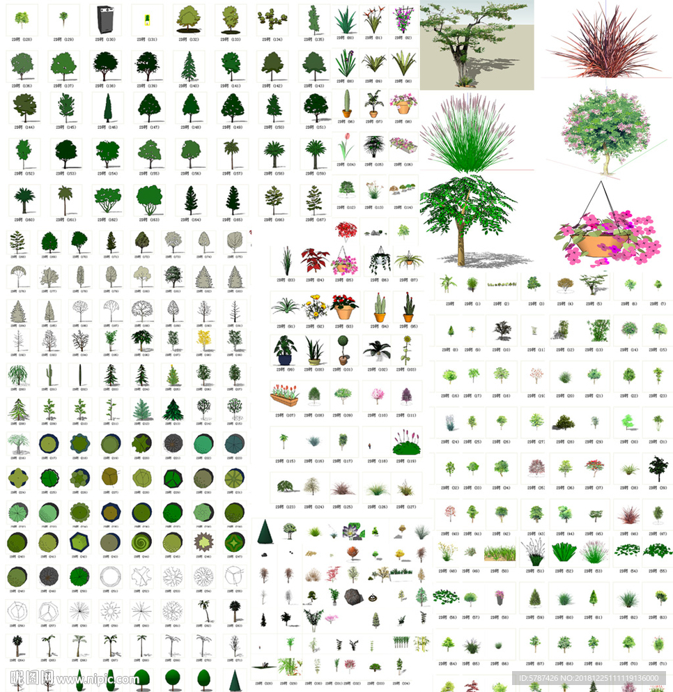 花卉植物模型