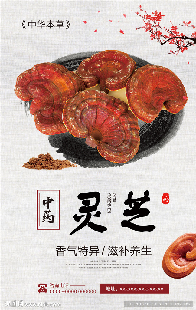 灵芝