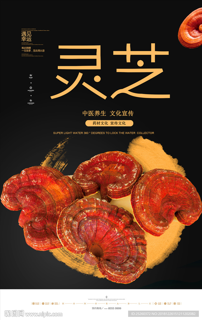 灵芝