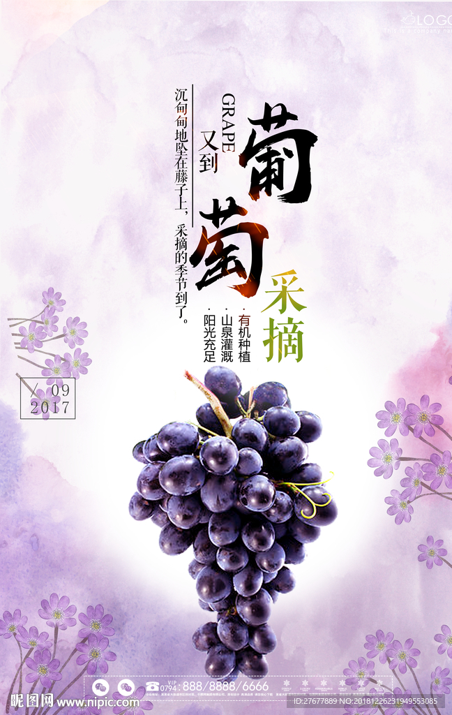 葡萄