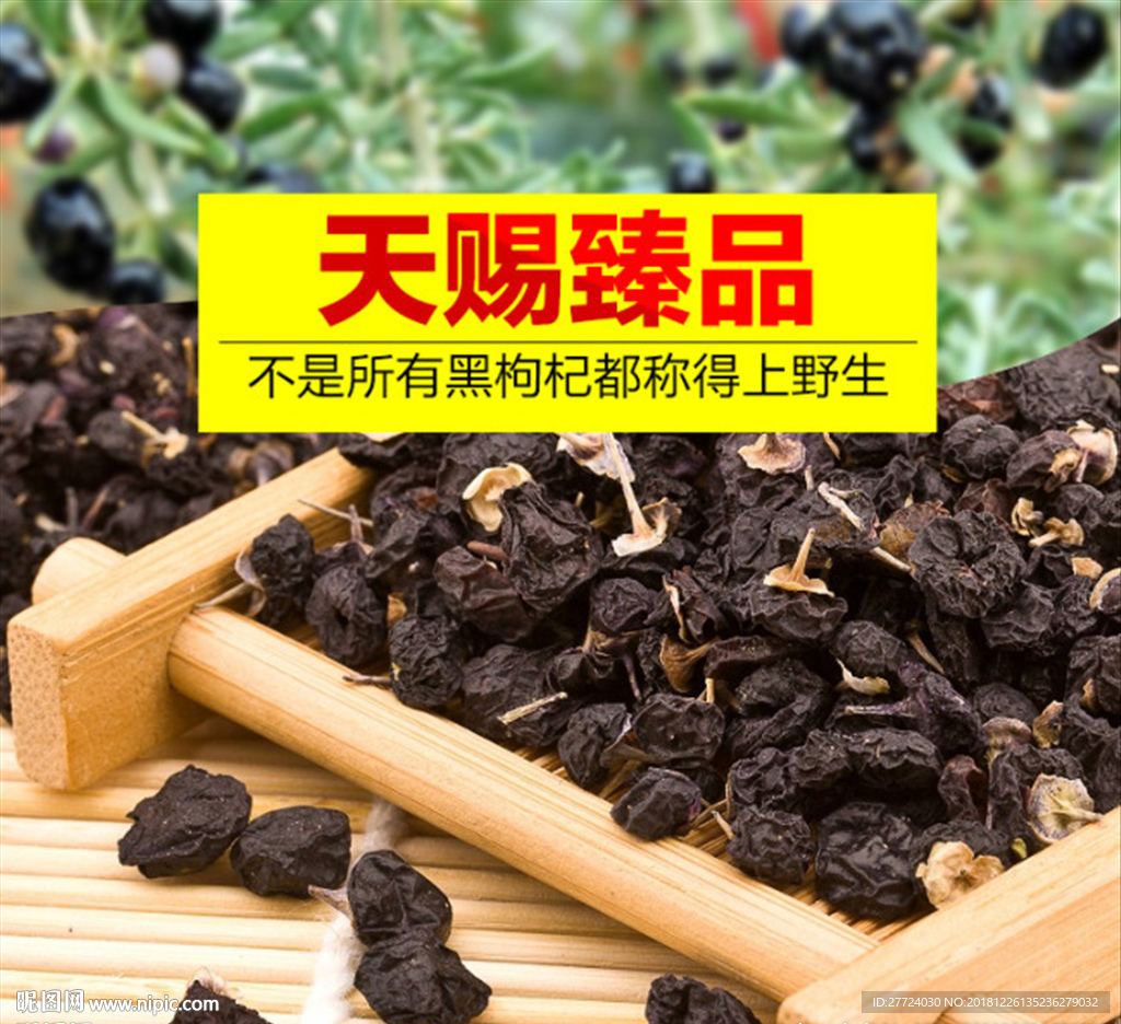 黑枸杞海报