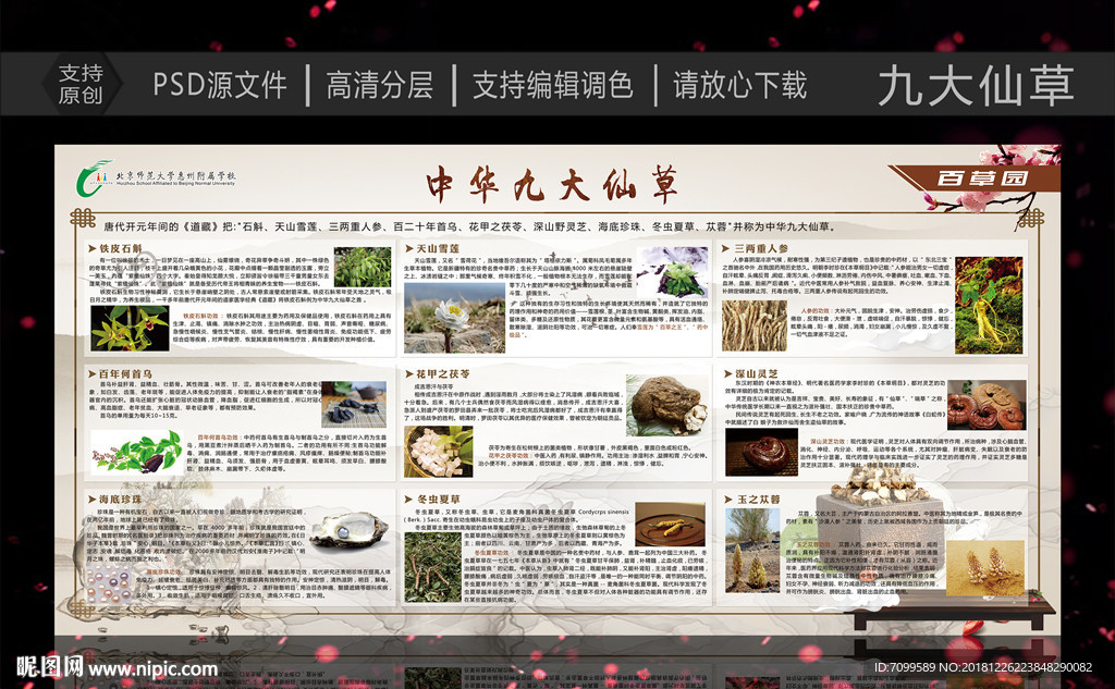 九大仙草