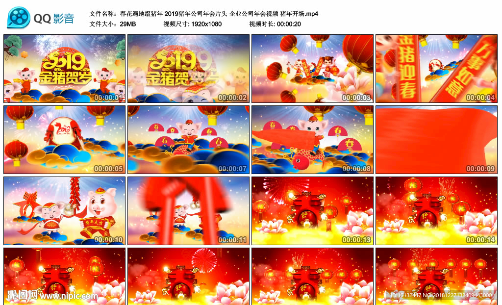 春花遍地缀猪年 2019猪年公