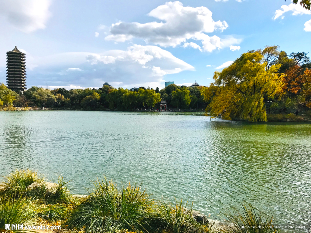 风景 北京大学