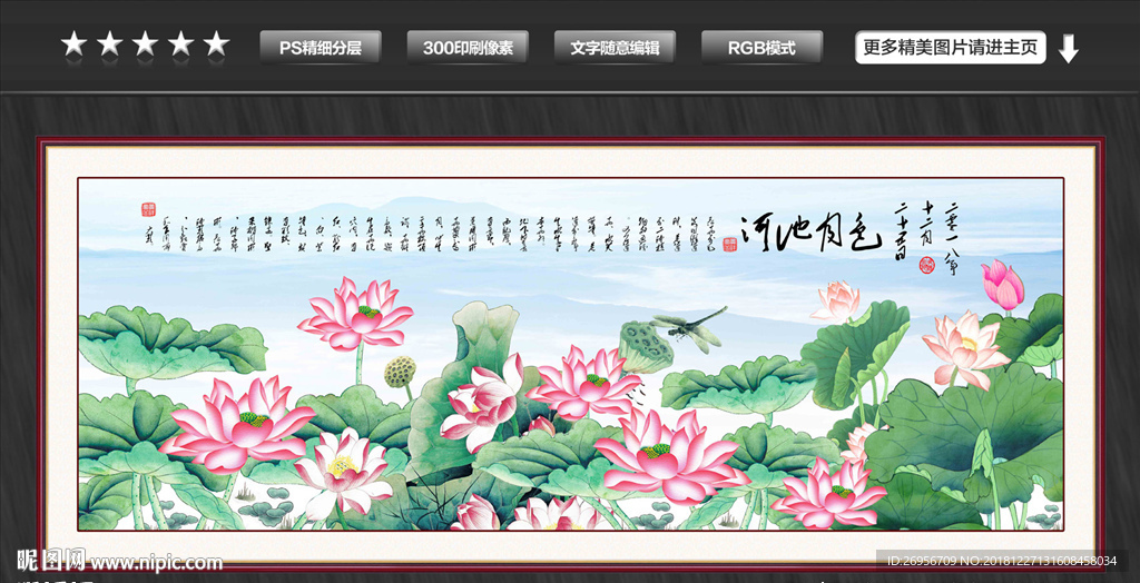 荷花