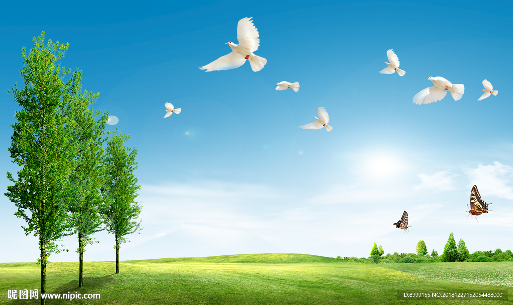 和平鸽风景电视背景墙