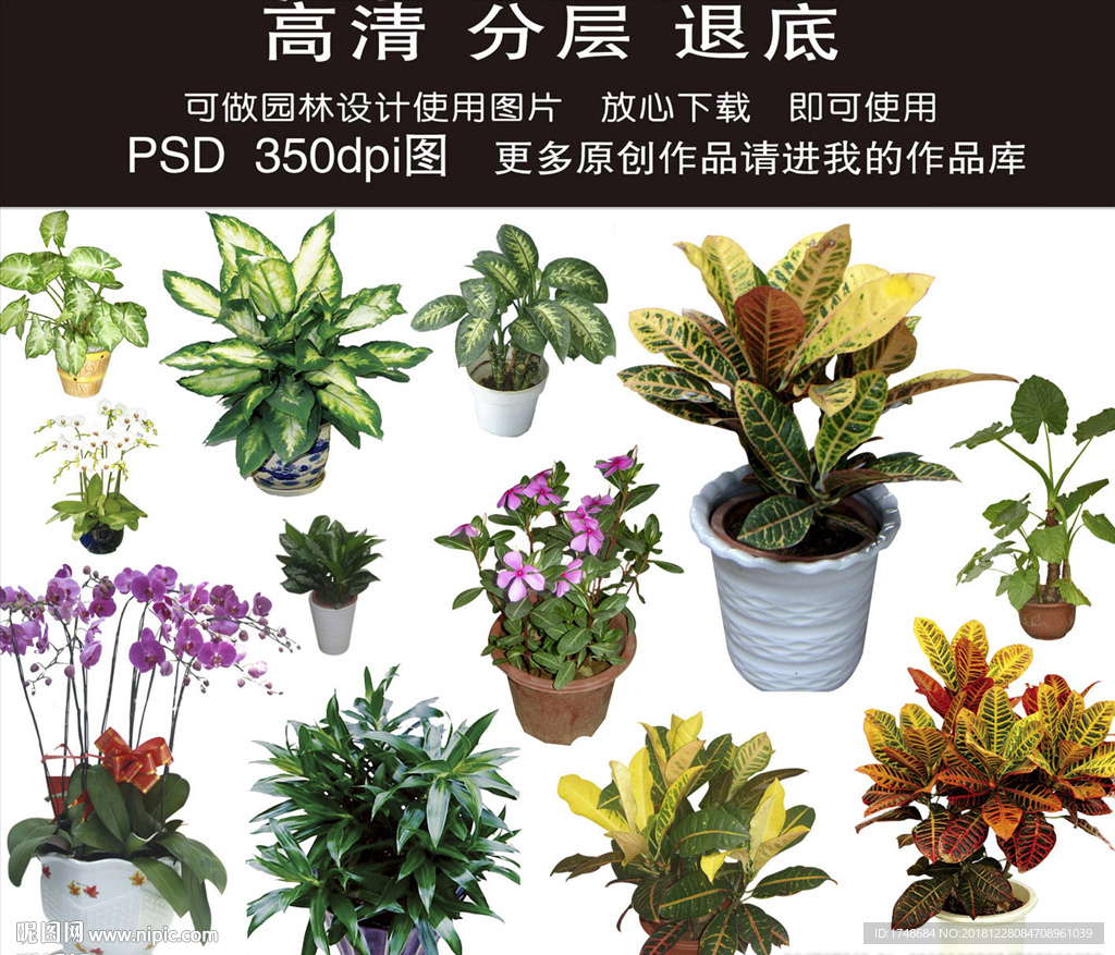 园林绿化工程花卉psd素材