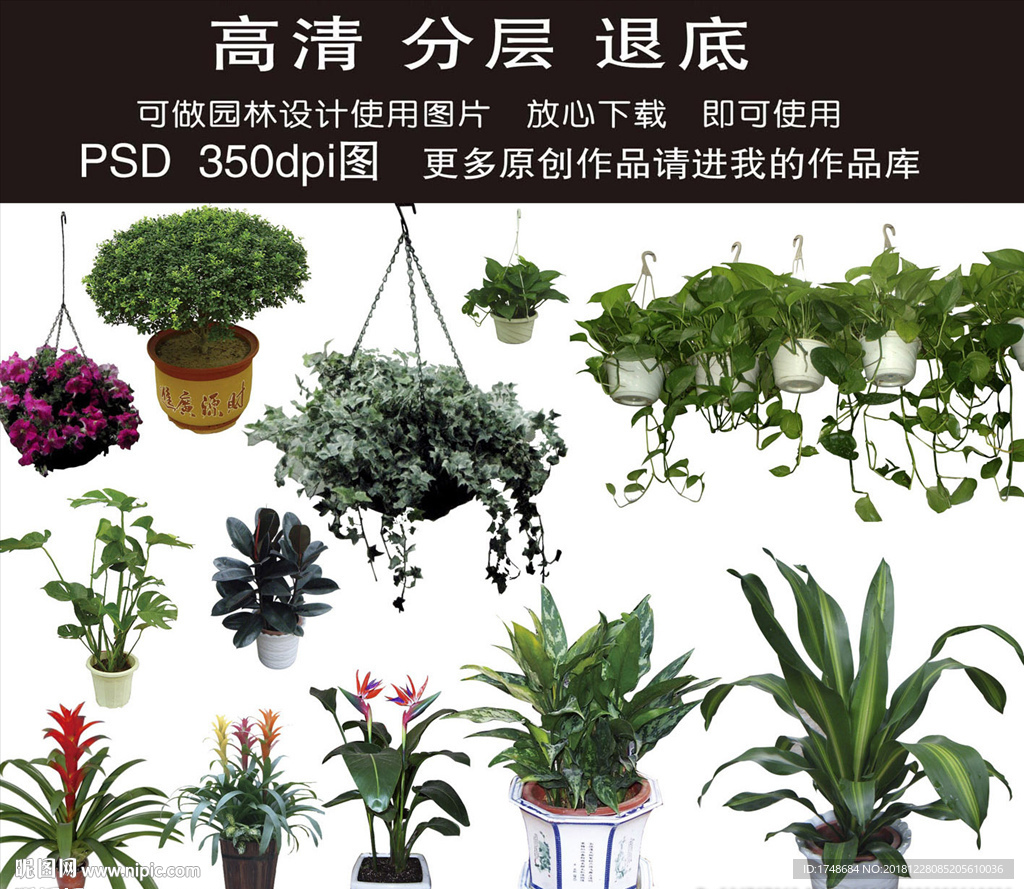 园林绿化素材
