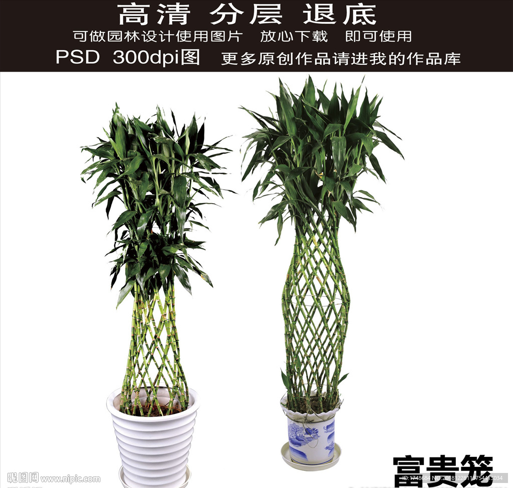 园林绿化素材