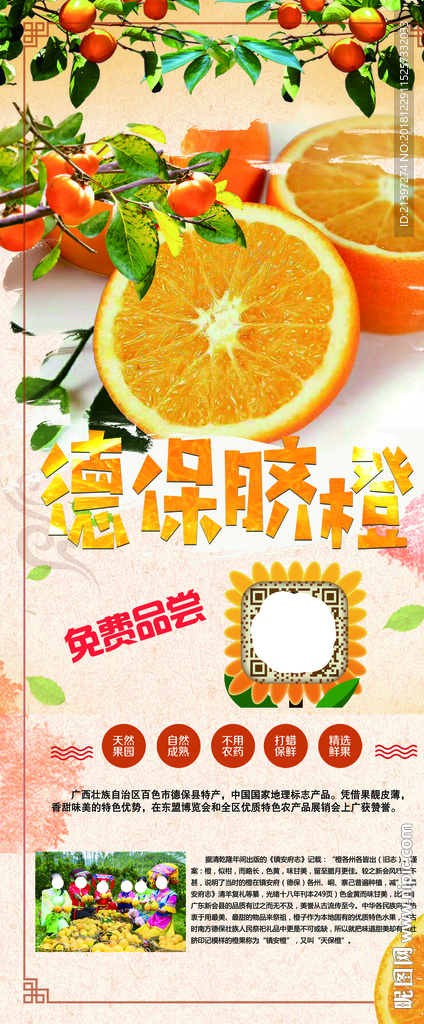 脐橙展架