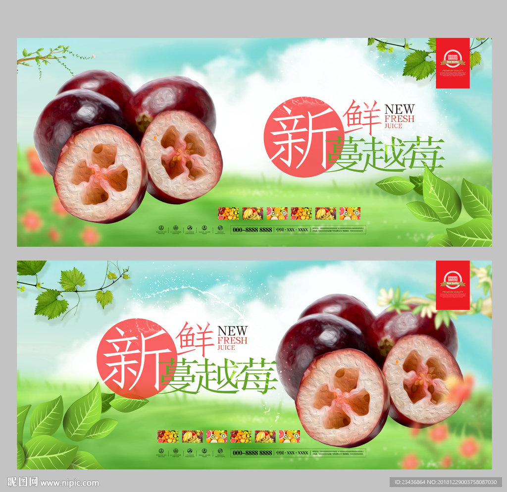 蔓越莓