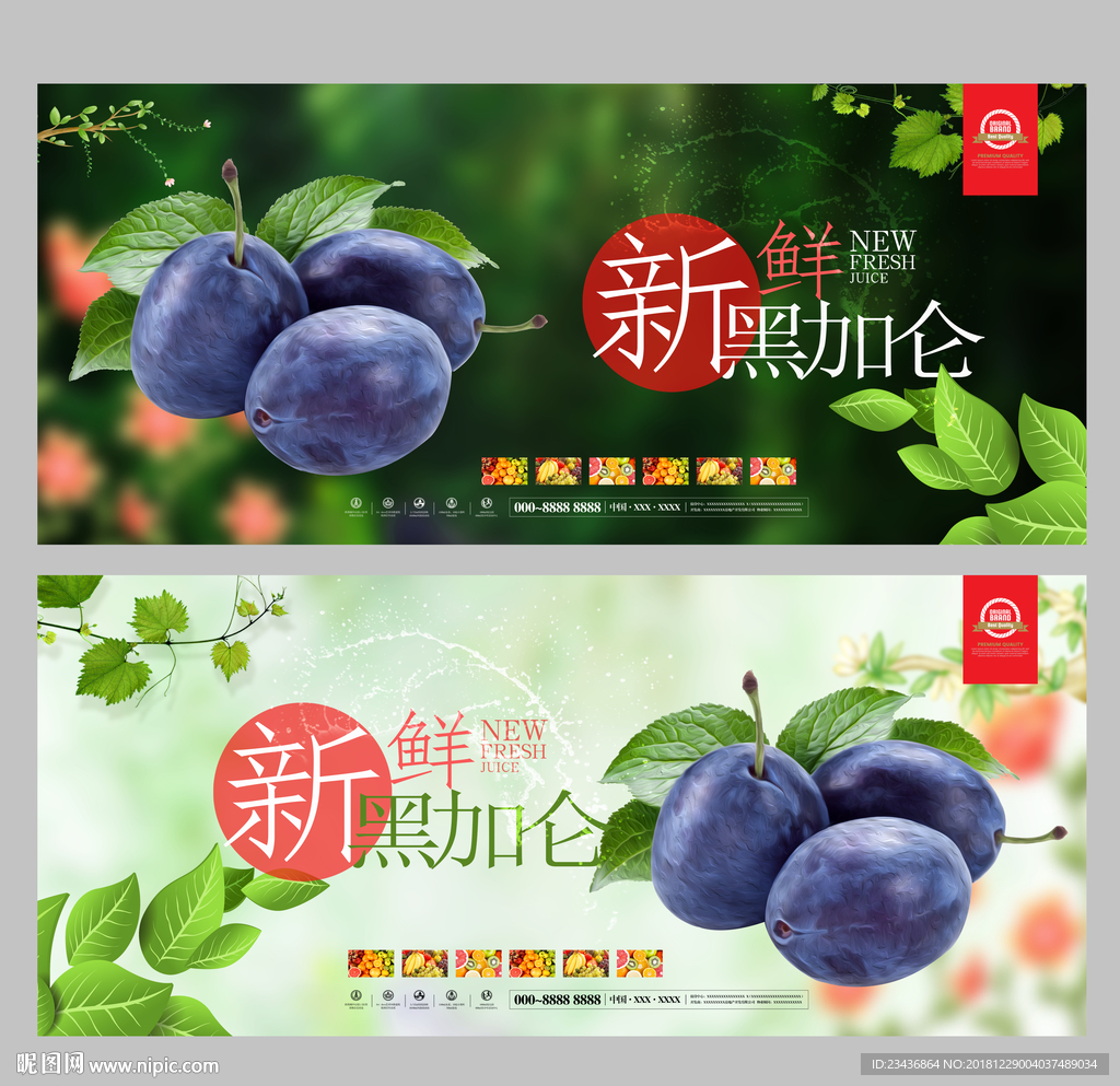 黑加仑