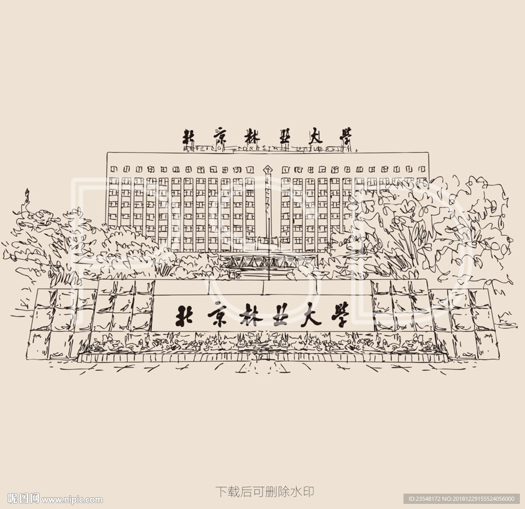 北京林业大学