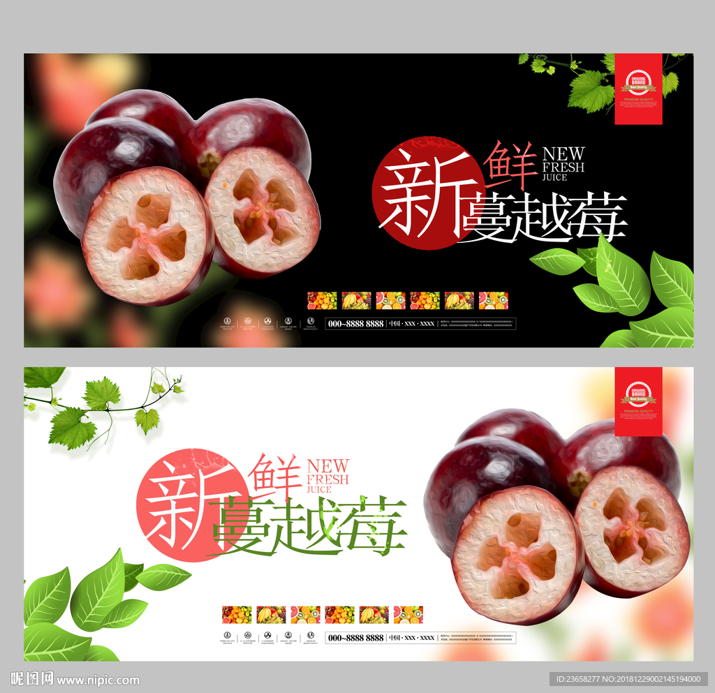 蔓越莓海报 进口水果海报