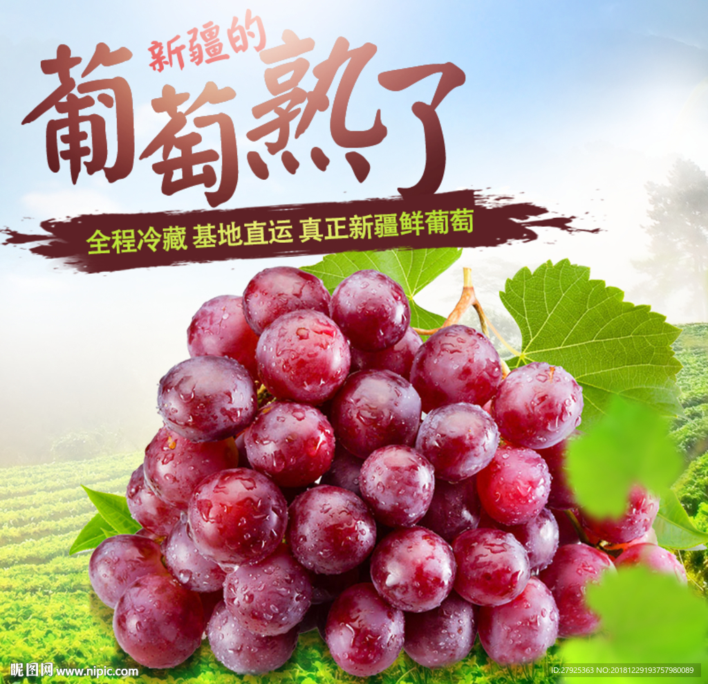 葡萄
