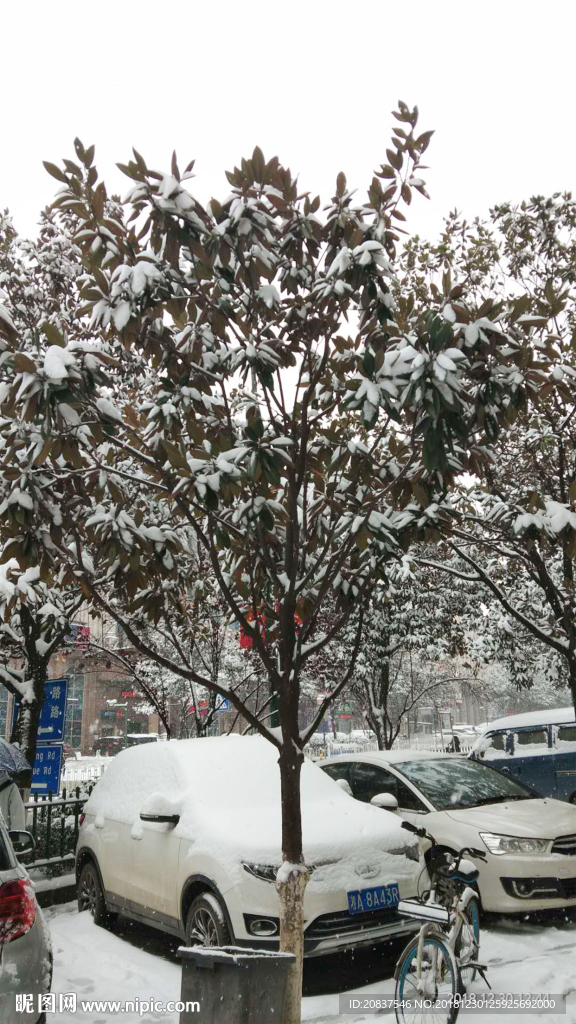 大雪天