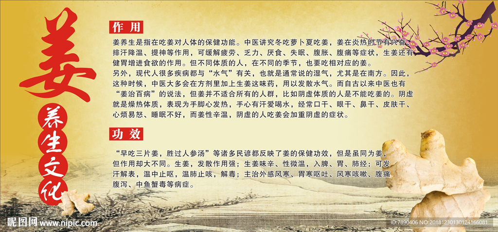 姜养生文化美容挂画中医养生