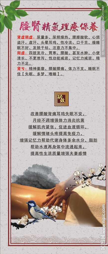 腰肾精气理疗保养中医养生美容