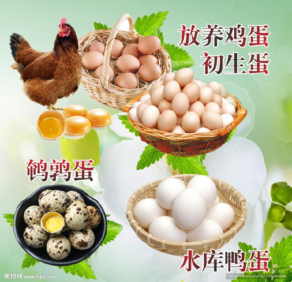 蛋品 海报 尺寸七十宽