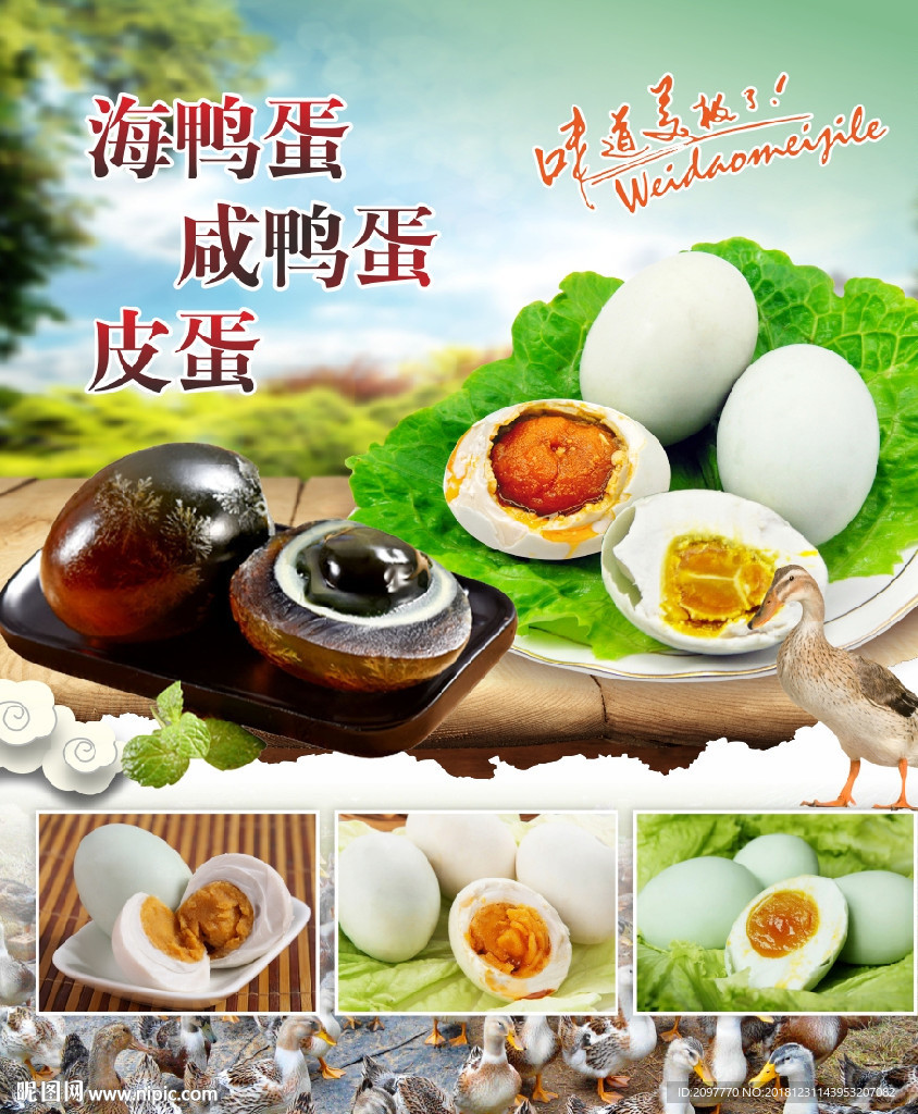 蛋类海报 尺寸六十宽