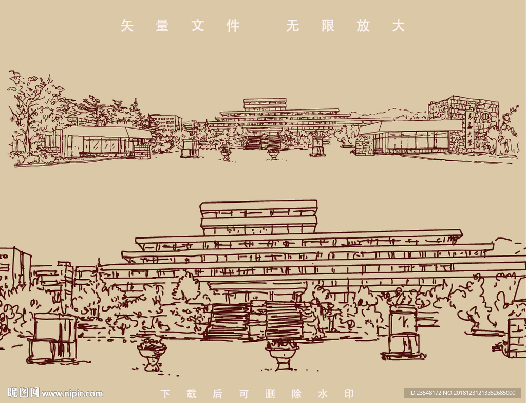 青岛大学