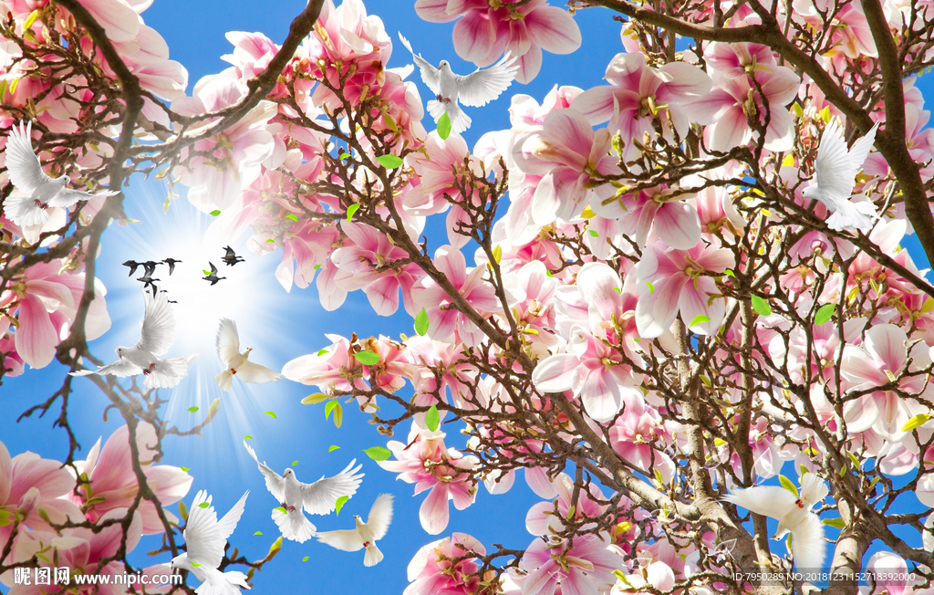 吊顶天花地毯设计