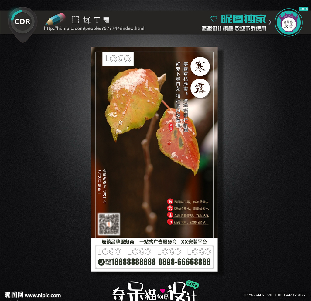 寒露 微信海报