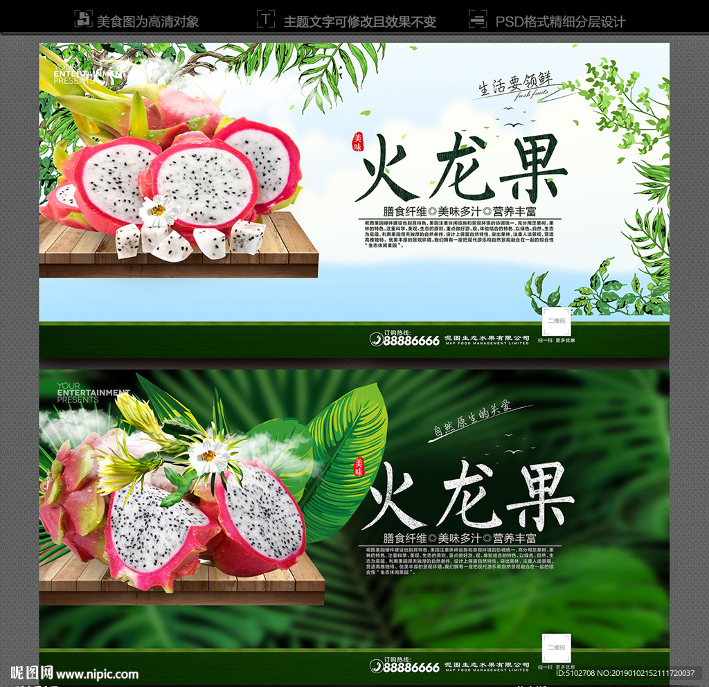 火龙果