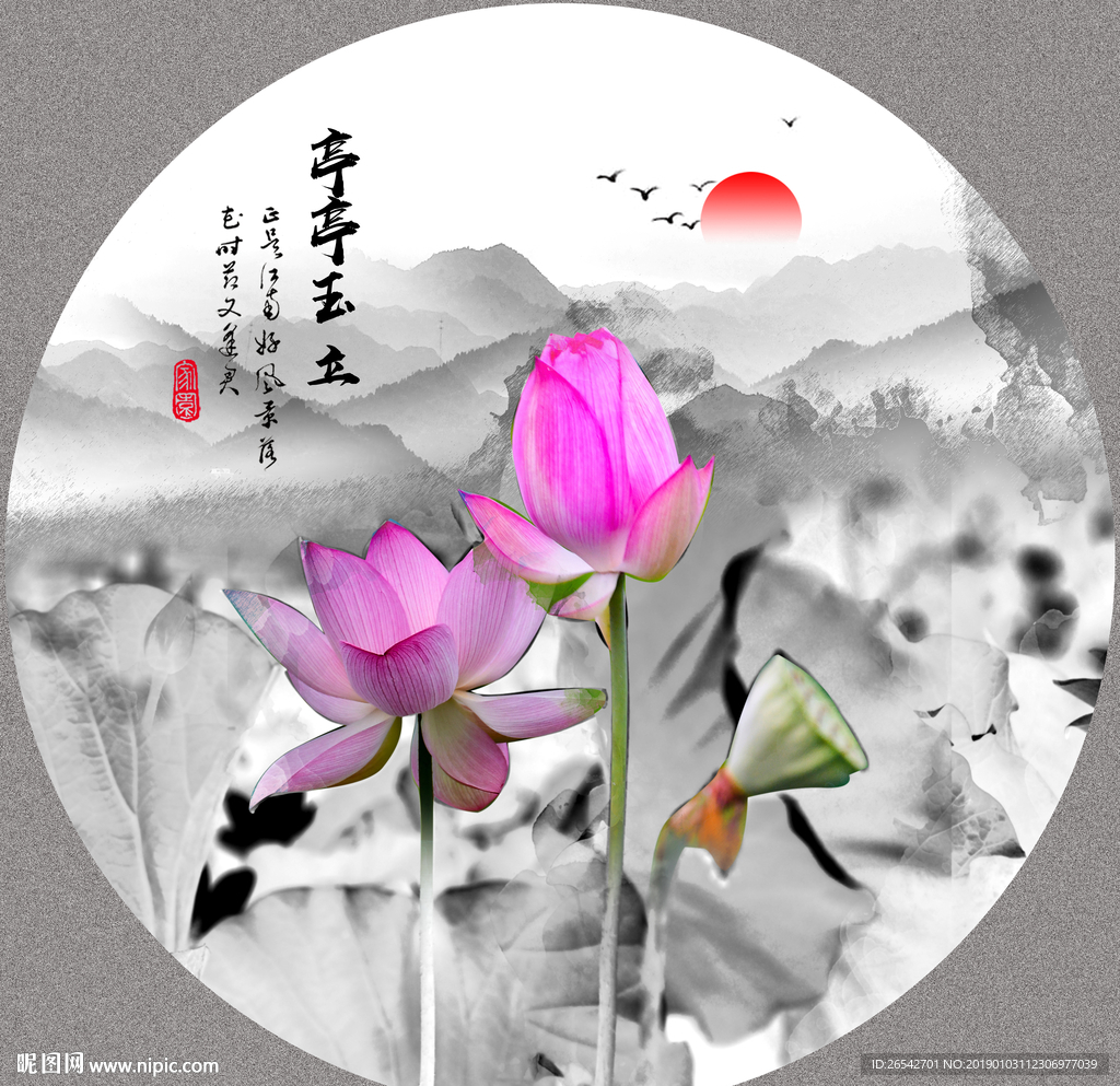 荷花